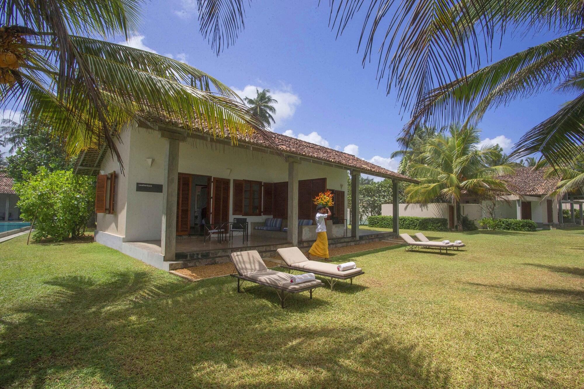 The Frangipani Tree By Edwards Collection Hotell Unawatuna Exteriör bild