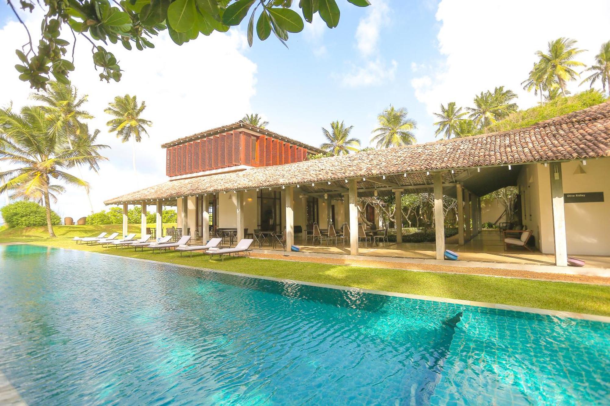 The Frangipani Tree By Edwards Collection Hotell Unawatuna Exteriör bild