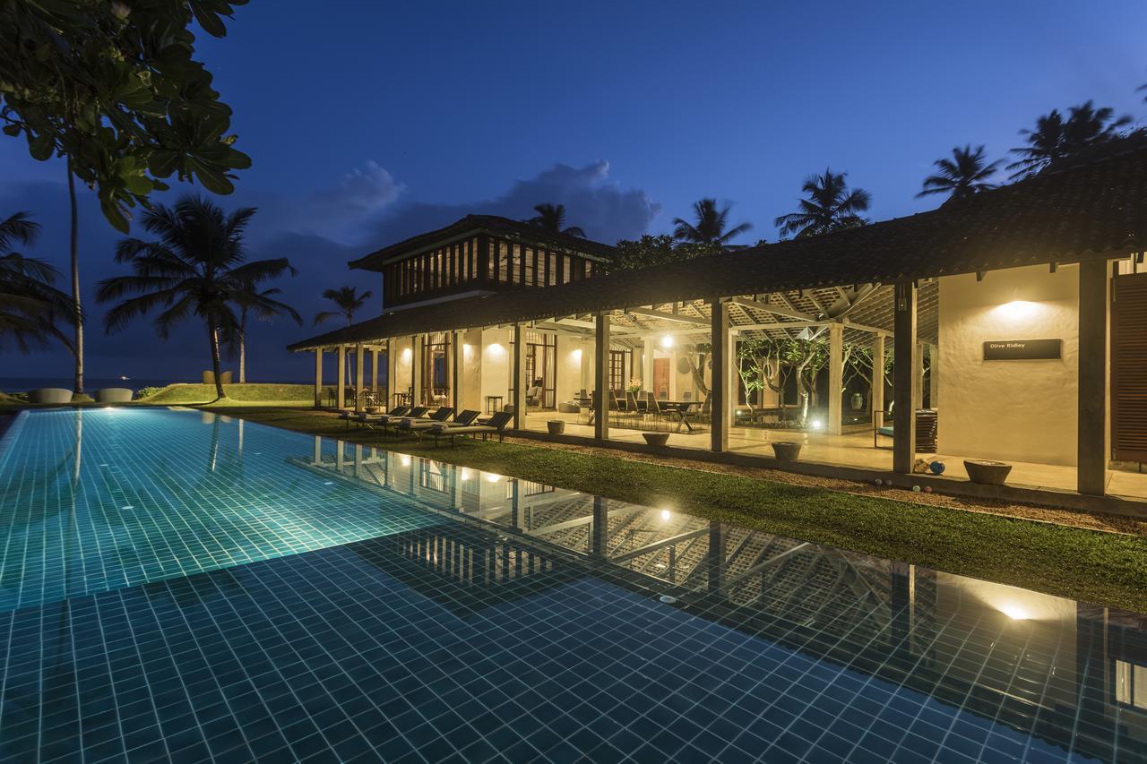 The Frangipani Tree By Edwards Collection Hotell Unawatuna Exteriör bild